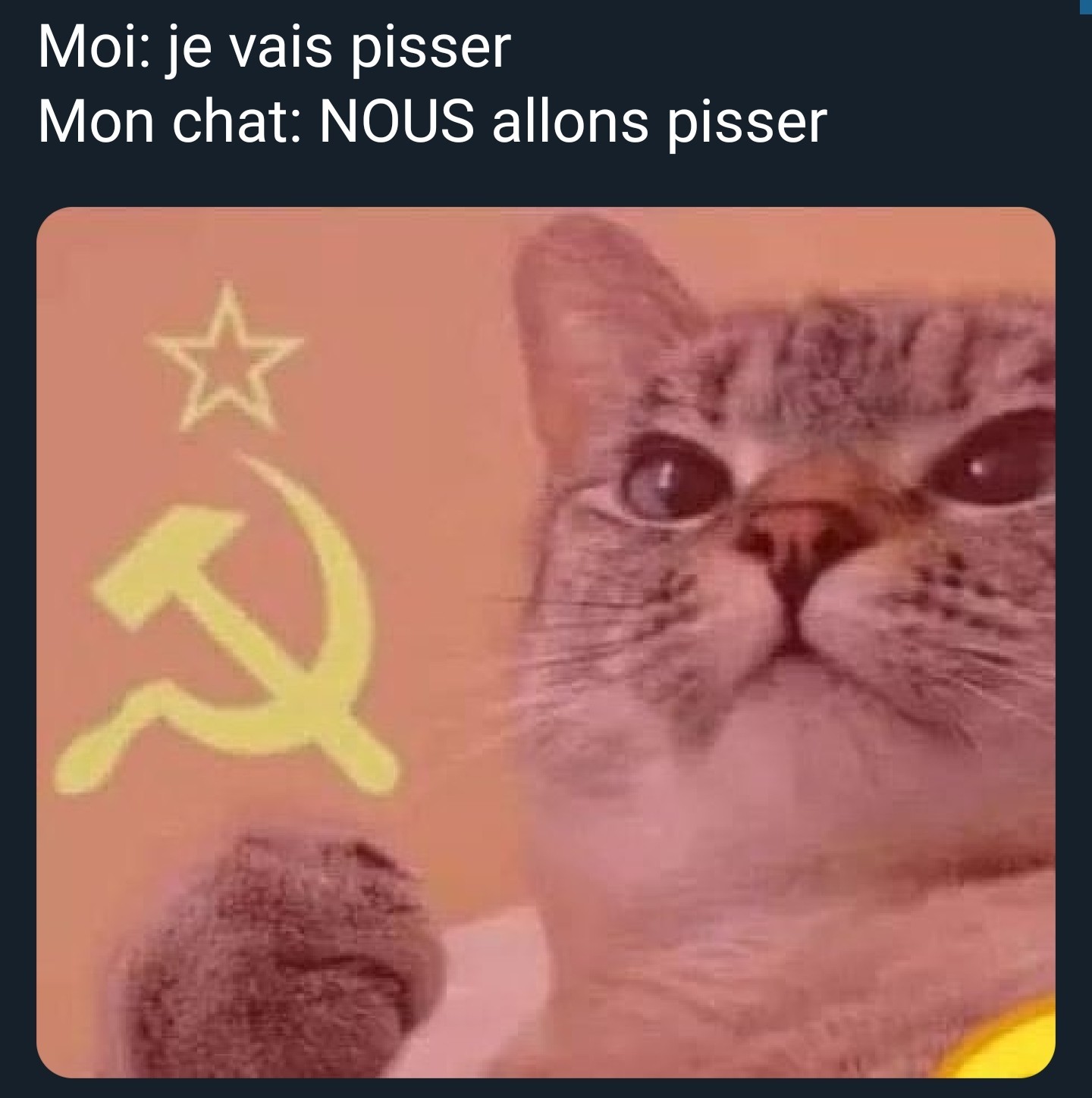 Commie cat meme