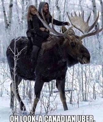 moose knuckle on moose knuckle - Meme by Bloodnut187 :) Memedroid