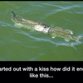 How fish make out