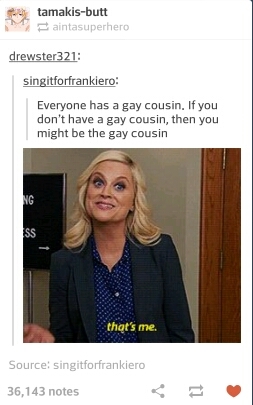 Are you the gay cousin? - meme
