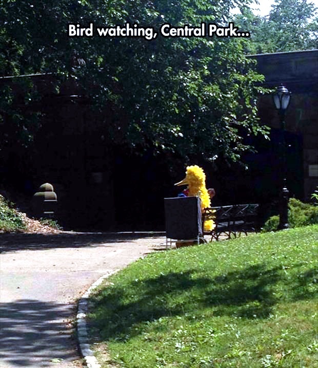 Chip Chip Meme by HaiLjesus ) Memedroid