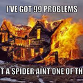 Fucking spiders