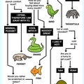 what animal should you get?