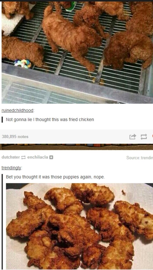chicken or dog? - meme