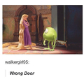 Wrong door