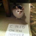 tenth comment pees on hamsters!