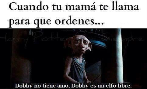 Dobby es un elfo libre... - meme