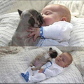 Podra este bebe y perrito tener likes :3