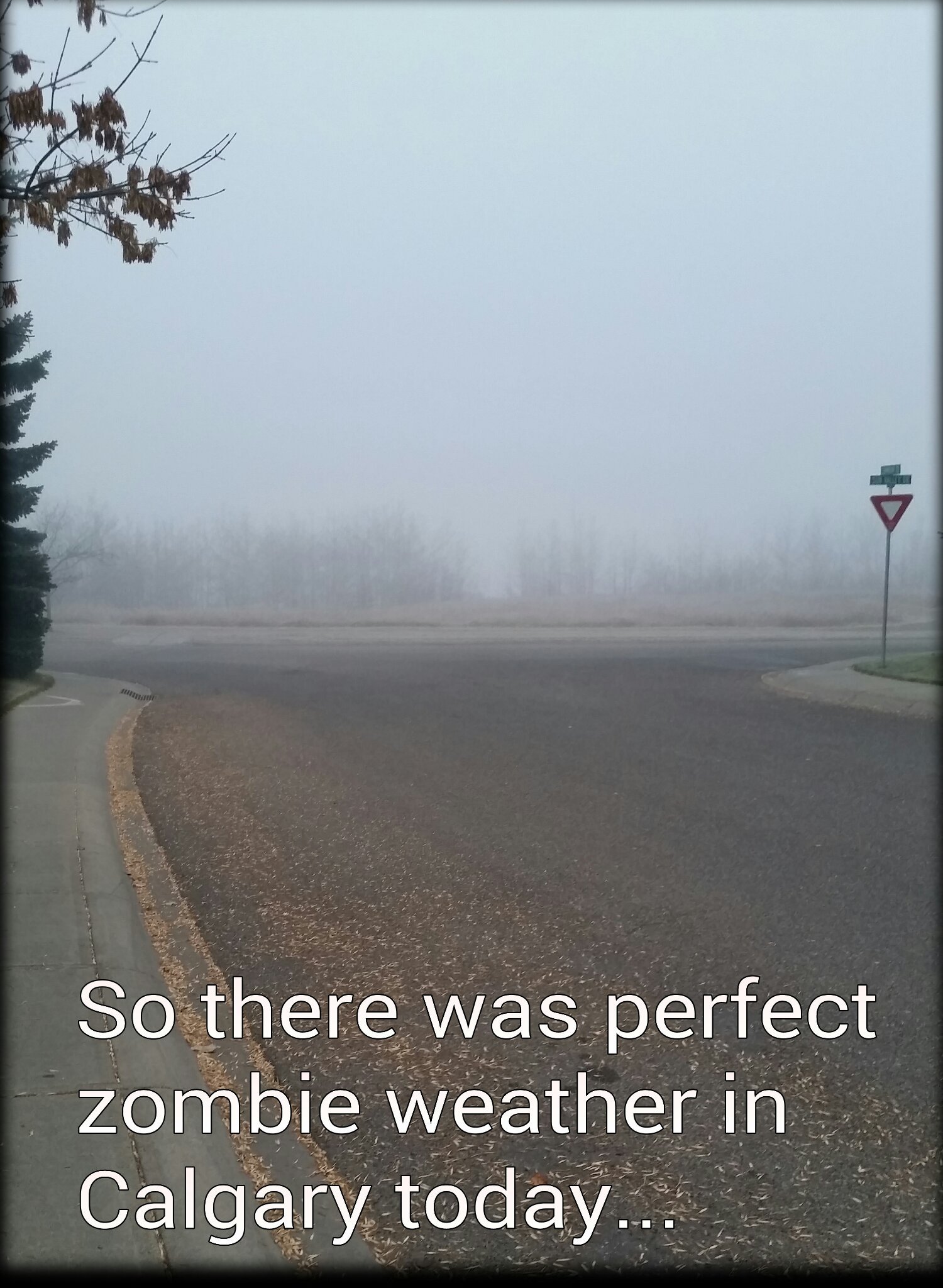It was an unsettling walk to school today... - meme