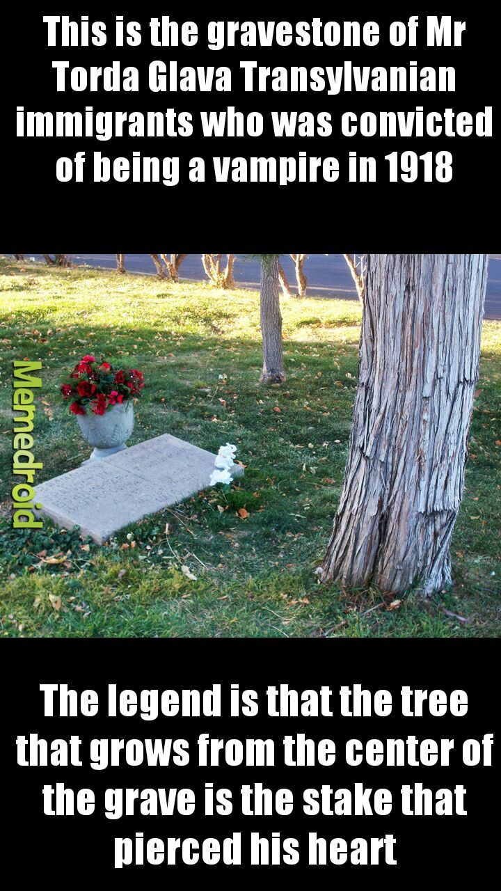 The graves in Lafayette cemetery in Colorado - meme