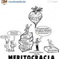 Será mesmo uma meritocracia?
