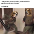 pinches perros