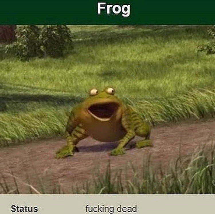 Frog... - meme