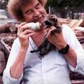 Bob Ross with a young "Rocket" from Guardians of the Galaxy. Not totally unlike Adolph Hitler, Rocket's career changed drastically after failing art school.