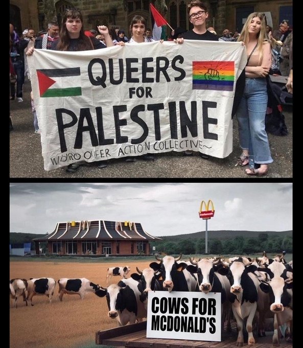 You think they'd admire the country that they're safe in, but no - meme