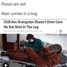Please enter a title for your meme