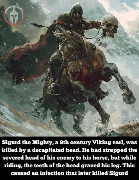 Viking dies to bite from a dead guy, history is wild - meme