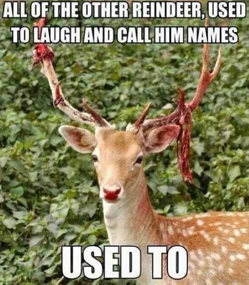 Rudolf dont care - meme