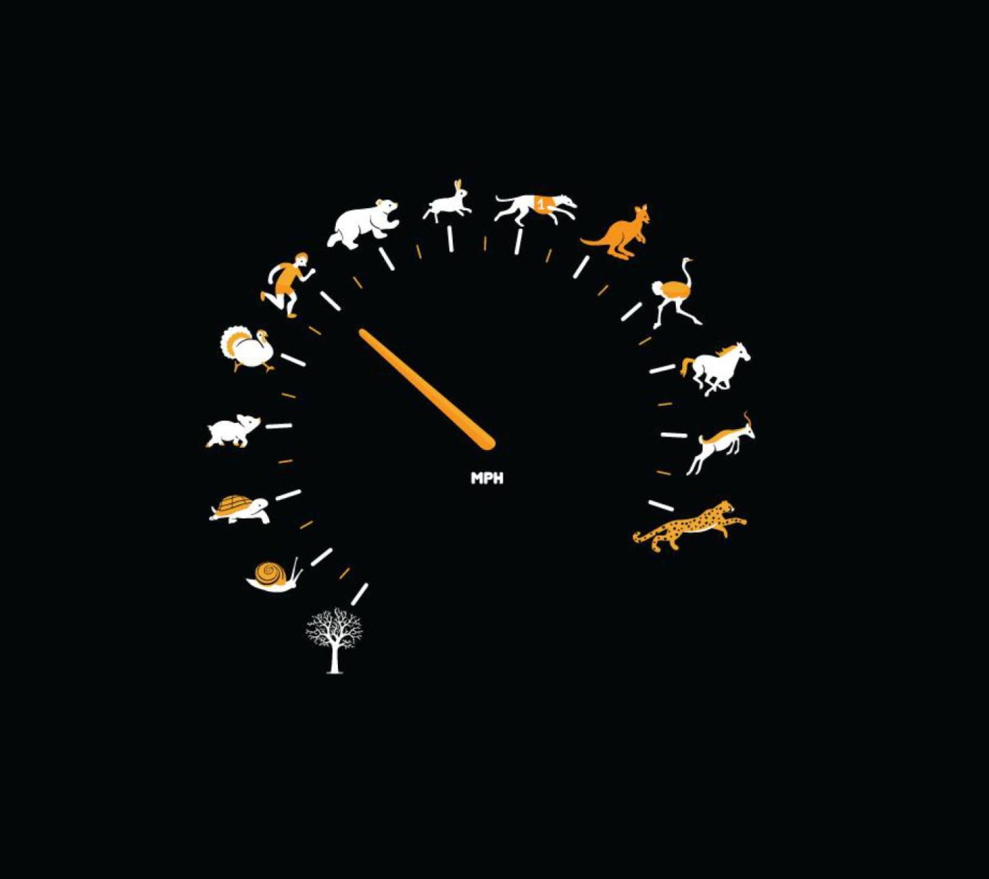 animal speedometer - meme