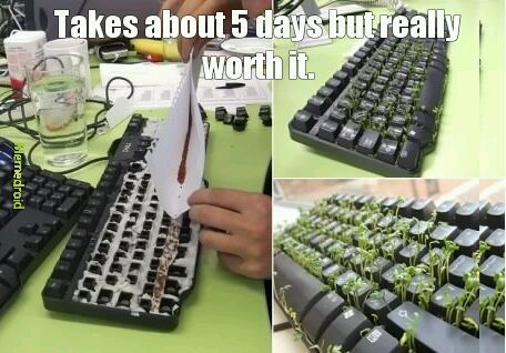 Your keyboard ia turning into a garden bro - meme