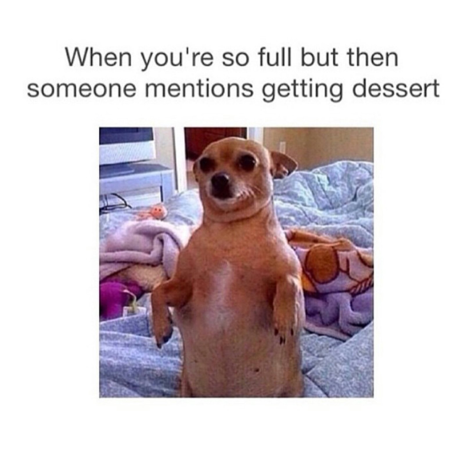 always room for dessert - meme