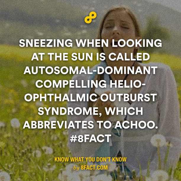 sneezing while looking at sun - meme