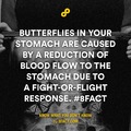 butterflies in stomach