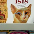 cats are isis. a book i found