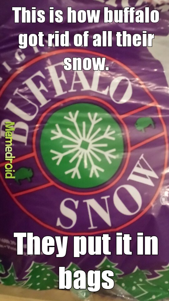Buffalo snow - meme