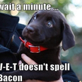 Hmmm bacon
