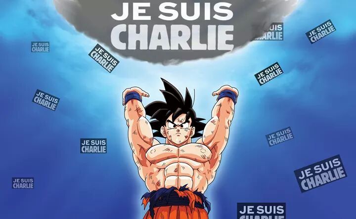 Comment j'ai vu les soutiens de Charlie Hebdo :3 - meme