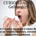 Curiosidades