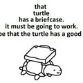 I believe in this turtle