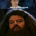 Yea Hagrid, you are