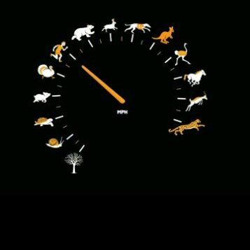 Medidor de velocidad animal version - meme