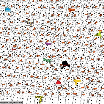 Find the panda - meme