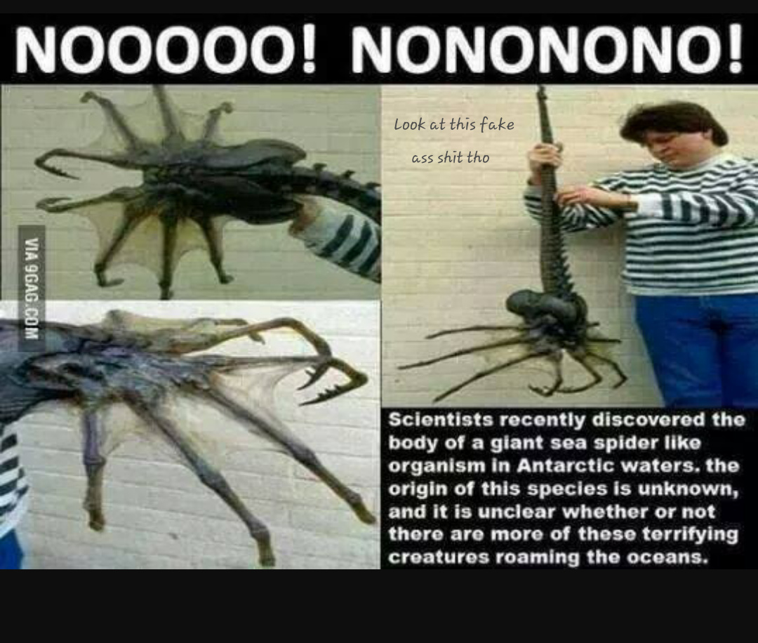 This shit so fake - meme