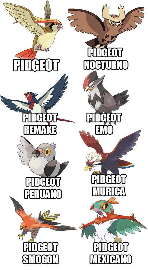 Pidgeot - meme