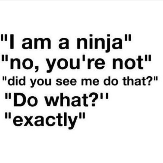 Ninja ninja ninja - meme