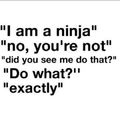 Ninja ninja ninja