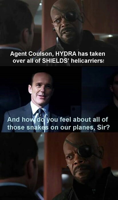 Director Coulson - meme