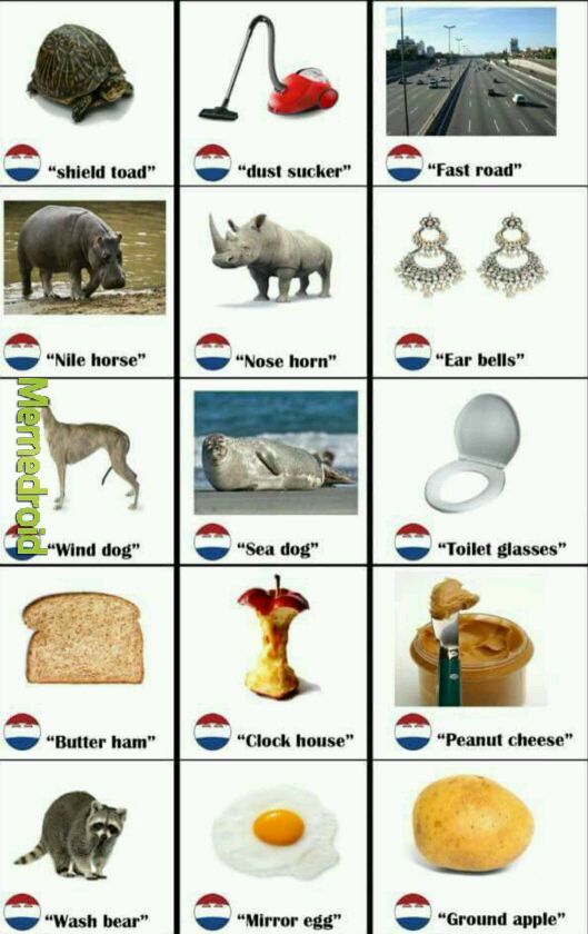 Dutch - meme