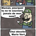 Mario vert et Luigi rouge