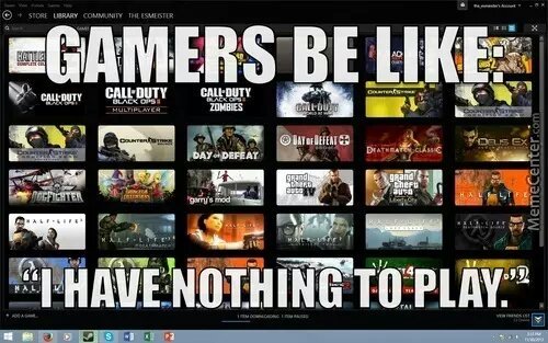 Gamers be like - meme