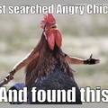 Angry Chicken