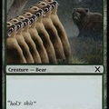 eight fucking bears