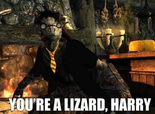 Hirry Pittir - meme