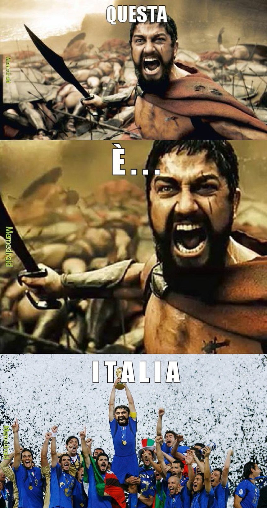 Dopo i mondiali di calcio 2006 l'Italia è entra in crisi in tutti i settori... - meme