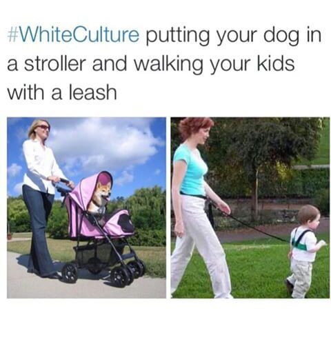 damn white people - meme
