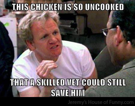 Damn chicken - meme